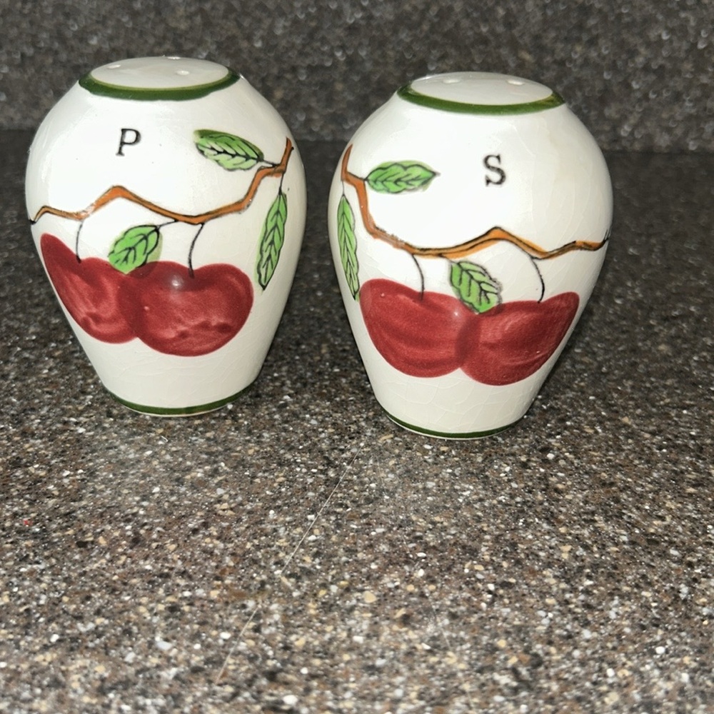 Hand Painted Ceramic Salt & Pepper Shakers